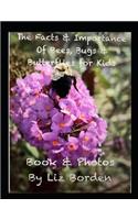 Facts & Importance Of Bees, Bugs & Butterflies for Kids