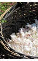White Jasmine Blossoms in a Basket Journal: 150 Page Lined Notebook/Diary