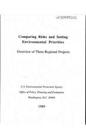 Comparing Risks and Setting Environmental Priorities: Overview of Three Regional Projects