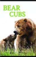 Bear Cubs Monthly Note Planner 2019 1 Year Calendar