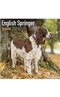 English Springer Spaniel Calendar 2018