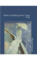 Within a Budding Grove: Large Print