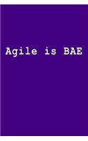 Agile Is Bae