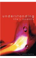 Understanding Life's Insanity