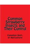 Common Strawberry Insects and Their Control