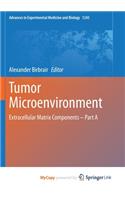 Tumor Microenvironment