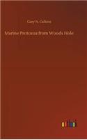 Marine Protozoa from Woods Hole