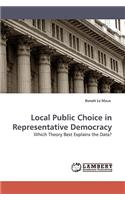 Local Public Choice in Representative Democracy