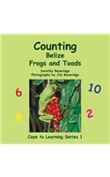 Counting Belize Frogs and Toads