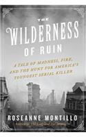 Wilderness of Ruin
