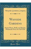 Wayside Gardens: Hardy Plants, Bulbs and Shrubs; Wholesale Prices for Fall 1920 (Classic Reprint)