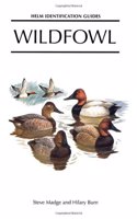 Wildfowl: An Identification Guide to the Ducks, Geese and Swans of the World (Helm Identification Guides) Hardcover