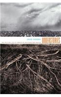Understories