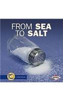 From Sea to Salt