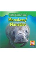 Manatees / Manatíes