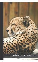 african cheetah: small lined Cheetah Notebook / Travel Journal to write in (6'' x 9'') 120 pages