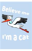 Believe Me I'm A Cat