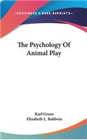 The Psychology Of Animal Play