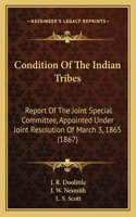 Condition Of The Indian Tribes