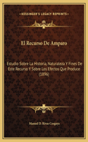 El Recurso De Amparo