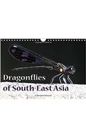 Dragonflies of South-East Asia 2017