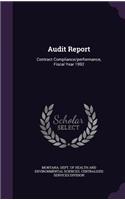 Audit Report