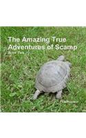 The Amazing True Adventures of Scamp the Tortoise