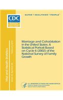 Vital and Health Statistics Series 23, Number 28: Marriage and Cohabitation in the United States: A Statistical Portrait Based on Cycle 6 (2002) of th: A Statistical Portrait Based on Cycle 6 (2002) of the National Survey of Family Growth