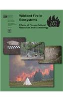 Wildland Fire in Ecosystems Effects of Fire on Cultural Resources and Archaeology
