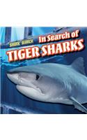 In Search of Tiger Sharks