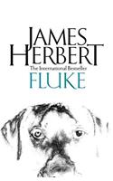 Fluke