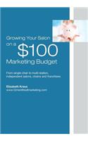 Growing a Salon on $100 Marketing Budget