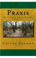 Praxis: Chronicles of an Internal Consultant, Volume 1(1 Praxis)