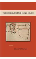 Invisible World Is in Decline