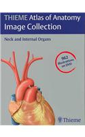 Thieme Atlas of Anatomy Image Collection--Neck and Internal Organs