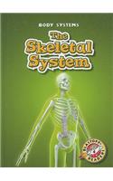 The Skeletal System: (Body Systems)