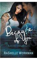 Because of You: A Second Chances Novel