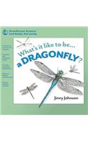 A Dragonfly?