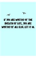 If you are worthy of the breath of life, you are worthy of all else. Let it in. Journal
