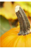 2020 Weekly Planner Autumn Design Fall Pumpkin 134 Pages: 2020 Planners Calendars Organizers Datebooks Appointment Books Agendas