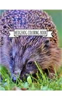 Hedgehog Coloring Book: Hedgehog Lover Gifts for Toddlers, Kids or Adult Relaxation - Cute Stress Relief Animal Birthday Coloring Book Made in USA
