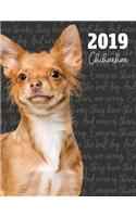 2019 Chihuahua: Dated Weekly Planner with to Do Notes & Dog Quotes - Fawn Chihuahua(5 Awesome Calendar Planners for Dog Owners Photo)
