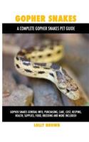 Gopher Snakes
