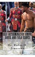 Self-Determination Among House and Field Slaves