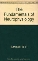 The Fundamentals of Neurophysiology