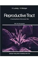 Human Female Reproductive Tract