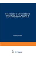 Morphologie Und Biologie Der Spirochaeta Pallida Experimentelle Syphilis