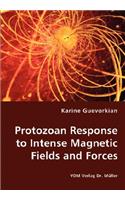 Protozoan Response to Intense Magnetic Fields and Forces