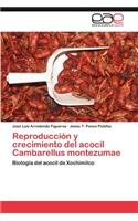 Reproduccion y Crecimiento del Acocil Cambarellus Montezumae