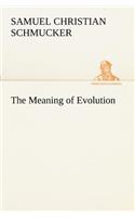 The Meaning of Evolution